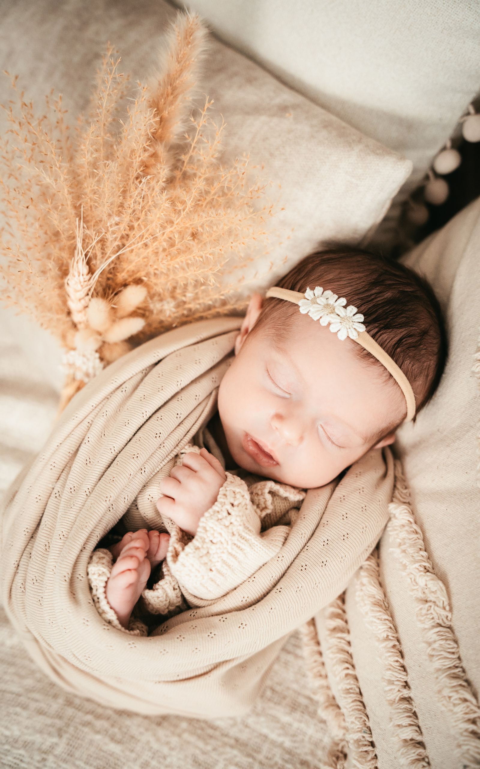 Newbornshoot